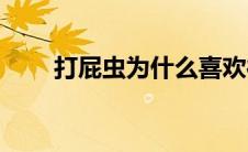 打屁虫为什么喜欢往家里飞(打屁虫)