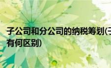 子公司和分公司的纳税筹划(子公司和分公司在税收筹划方面有何区别)