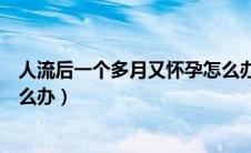 人流后一个多月又怀孕怎么办（人流后一个月又怀孕了该怎么办）