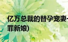亿万总裁的替孕宠妻一胎双宝(亿万总裁的替罪新娘)