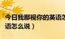 今日我鄙视你的英语怎么说（请问鄙视你的英语怎么说）