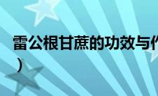 雷公根甘蔗的功效与作用（甘蔗的功效与作用）