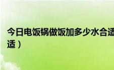 今日电饭锅做饭加多少水合适（电饭锅怎么煮饭 放多少水合适）