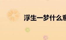 浮生一梦什么意思(浮生一梦)