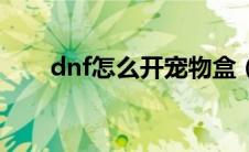 dnf怎么开宠物盒（dnf怎么开宠物）