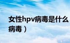 女性hpv病毒是什么（女性HPV病毒是什么病毒）