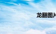 龙翻图片(龙翻)