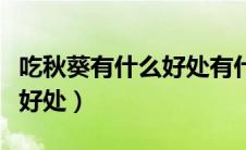 吃秋葵有什么好处有什么坏处（吃秋葵有什么好处）
