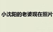 小沈阳的老婆现在照片（小沈阳的老婆是谁）