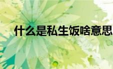 什么是私生饭啥意思（什么是私密整形）