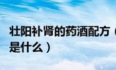 壮阳补肾的药酒配方（补肾壮阳药酒最好配方是什么）
