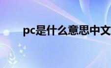 pc是什么意思中文（pc是什么意思）