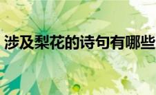 涉及梨花的诗句有哪些（与梨花相关的诗句）