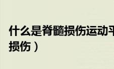 什么是脊髓损伤运动平面关键肌（什么是脊髓损伤）