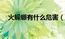 火蝾螈有什么危害（火蝾螈有哪些危害）