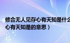 修合无人见存心有天知是什么意思出自哪里（修合无人见存心有天知是的意思）