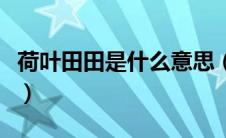 荷叶田田是什么意思（荷叶田田的意思是什么）