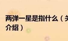 两弹一星是指什么（关于两弹一星是指什么的介绍）