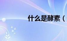 什么是酵素（什么是酵素）
