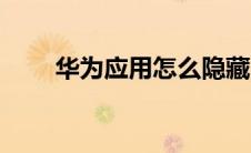 华为应用怎么隐藏（应用怎么隐藏）
