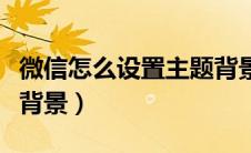 微信怎么设置主题背景图（微信怎么设置主题背景）