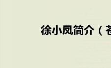 徐小凤简介（苍穹之冕简介）