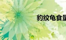 豹纹龟食量(豹纹龟)