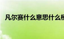 凡尔赛什么意思什么梗（凡尔赛意思介绍）