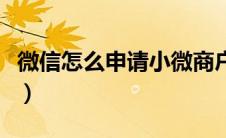 微信怎么申请小微商户（微信怎么申请公众号）