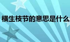 横生枝节的意思是什么动物(横生枝节的意思)
