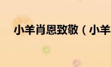 小羊肖恩致敬（小羊肖恩之冠军羊简介）