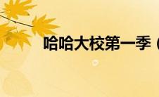 哈哈大校第一季（哈哈大校简介）