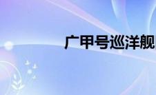 广甲号巡洋舰图片(广甲号)