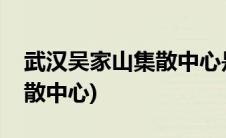 武汉吴家山集散中心是空运吗(武汉吴家山集散中心)