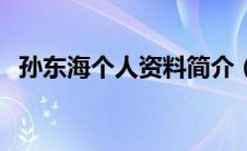 孙东海个人资料简介（中关村启示录简介）