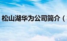 松山湖华为公司简介（松山湖阳光沙滩简介）
