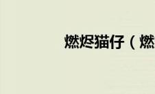 燃烬猫仔（燃烬猫仔简介）