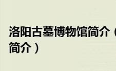 洛阳古墓博物馆简介（胡侦探传说之古墓雪妖简介）