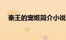 秦王的宠姬简介小说（秦王的宠姬简介）