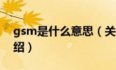 gsm是什么意思（关于gsm是什么意思的介绍）