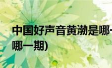 中国好声音黄渤是哪一季(中国好声音黄渤是哪一期)