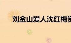 刘金山爱人沈红梅资料（刘金山电影）