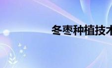 冬枣种植技术(冬枣上火)