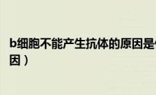 b细胞不能产生抗体的原因是什么（b细胞不能产生抗体的原因）