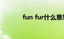 fun fur什么意思(fun funny)