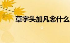 草字头加凡念什么（汉字芃读什么）