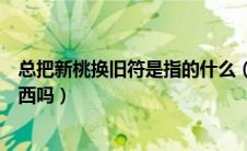 总把新桃换旧符是指的什么（总把新桃换旧符指的是一种东西吗）