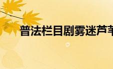 普法栏目剧雾迷芦苇地（芦苇地简介）