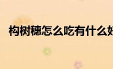 构树穗怎么吃有什么好处（构树穗怎么吃）