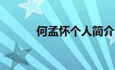 何孟怀个人简介（七星袍简介）